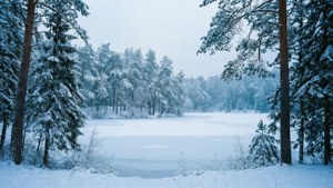 Frozen Peace