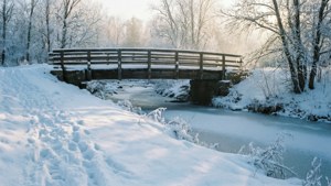 Frozen Stream Bridge
