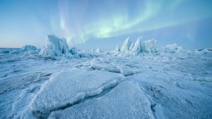 Frozen Tundra Expanse