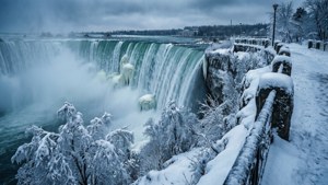 Frozen Wonderland