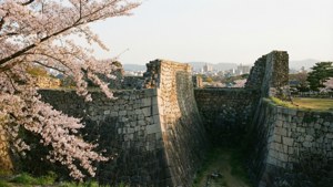 Fukuoka Castle Ruins Spring