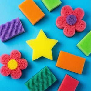 Fun Sponge Shapes