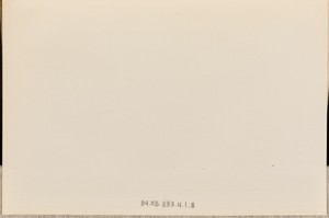 Furniture Used in the Walden House