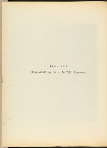 Furze=Cutting on a Suffolk Common