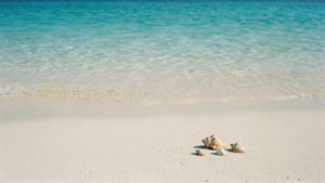 Fuwairit Beach Serenity