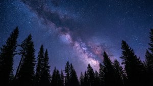 Galactic Canopy