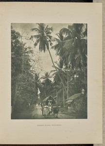 Galle Road, Colombo
