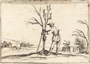 Gardener Pruning a Tree