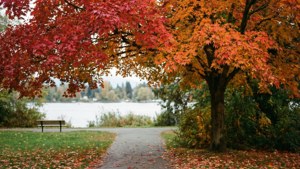 Garry Point Autumn