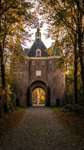 Gate Through Autumn