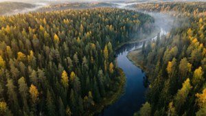 Gauja Autumn Aerial