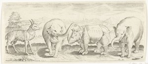 Gazelle, olifant en neushoorn