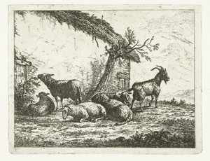 Geit en schapen bij vervallen boerenschuur