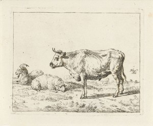Geit, schaap en staande os