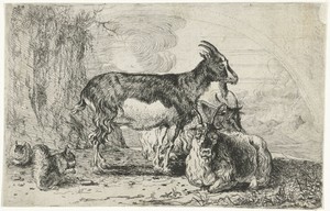 Geiten