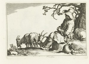 Geitenhoeder