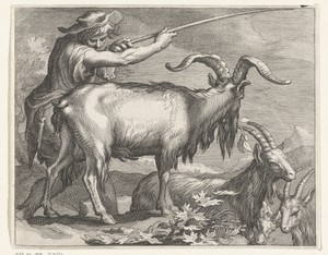 Geitenhoeder met geiten