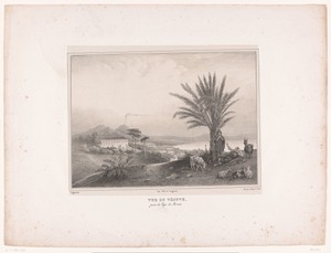 Geitenhoeders bij de Golf van Napels met zicht op de Vesuvius