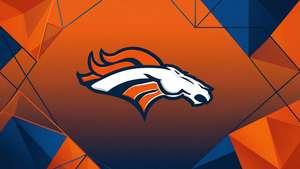 Geometric Broncos