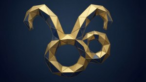 Geometric Capricorn