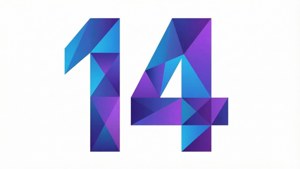 Geometric Fourteen Abstraction