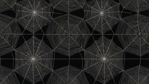 Geometric Hex Web