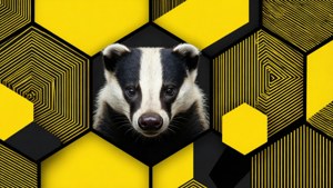 Geometric Hufflepuff Pattern