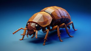 Geometric Termite