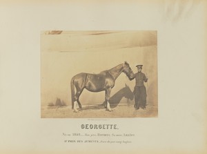 Georgette