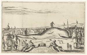 Gestrande walvis op het strand te Noordwijk, 1614