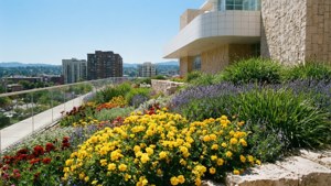 Getty Gardens Vista