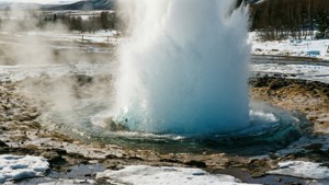 Geyser in Snow