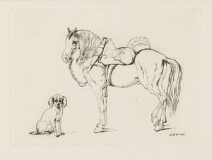 Gezadeld paard en een hond