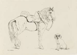 Gezadeld paard en hond