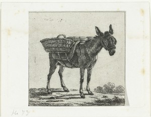 Gezadelde ezel met oogkleppen