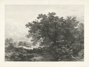 Gezicht in het Bakony woud