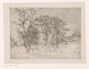 Gezicht in het bos van Fontainebleau met twee koeien