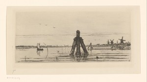 Gezicht op de Biesbosch bij Dordrecht