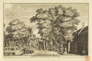 Gezicht op de Koepoortsweg te Hoorn