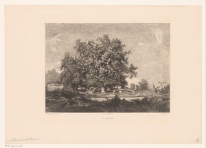 Gezicht op een boom in een heidelandschap