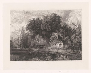 Gezicht op een huis aan de rand van een bos