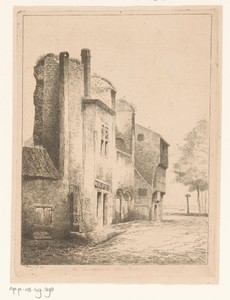 Gezicht op een kasteelruïne