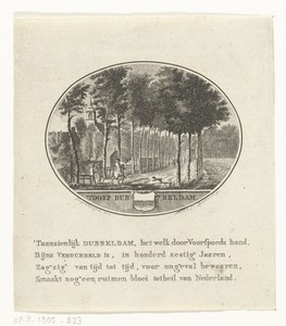 Gezicht op een laan naar het dorp Dubbeldam
