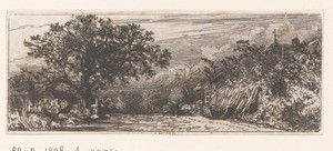 Gezicht op een pad in een landschap