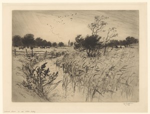 Gezicht op een weide met koeien, een sloot en vogels in de lucht