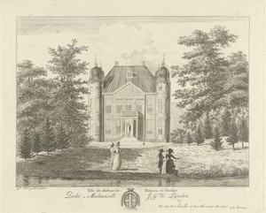 Gezicht op kasteel Biljoen