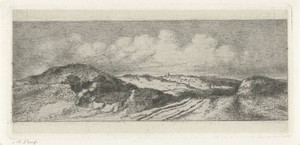 Gezicht op Wassenaar vanuit de duinen
