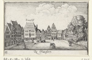 Gezicht te Frankfurt