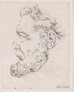 Gezicht van een oude man met baard, in profiel naar links