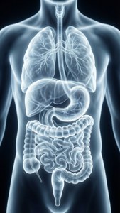 Ghostly Digestive Overlay
